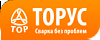 Торус Торус